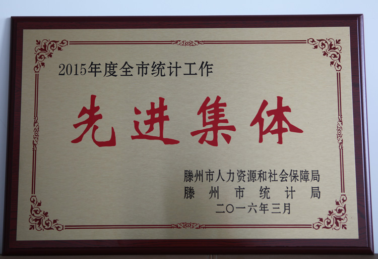 16-3-2015年度全市統計工(gōng)作先進集體(tǐ).jpg