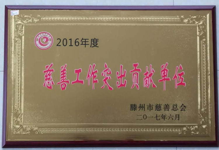 17-6-2016年度慈善工(gōng)作突出貢獻單位.jpg